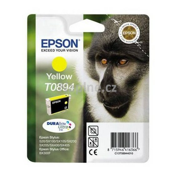 Epson T089440_1